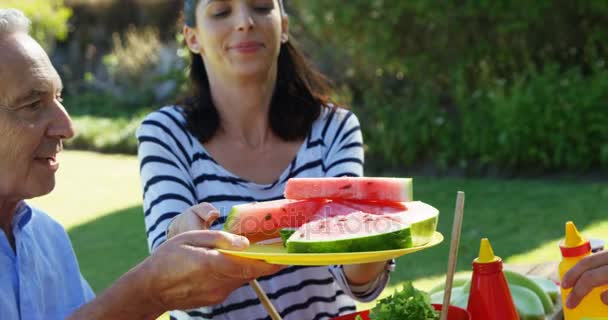 Family having breakfast in park — Stock Video