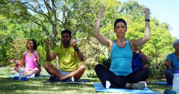 Groupe Personnes Effectuant Yoga Dans Parc Par Une Journée Ensoleillée — Video