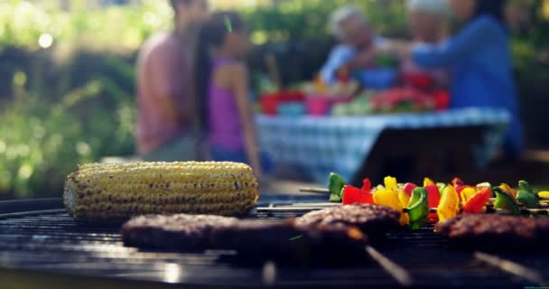 Mięso z grilla na grilla 4k — Wideo stockowe