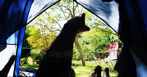 Famille Relaxante Dans Tente Parc — Video