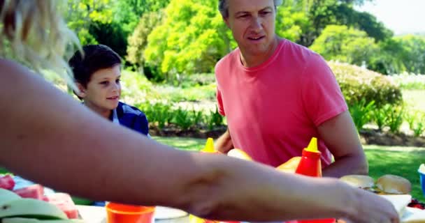 Aile Yemek Parkta Güneşli Bir Günde Sahip — Stok video
