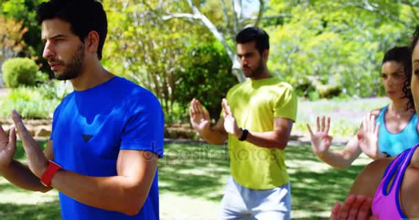 Groupe Personnes Faisant Exercice Dans Parc Par Une Journée Ensoleillée — Video