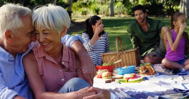 Cariñosa Pareja Ancianos Sentados Parque Con Familia Segundo Plano — Vídeo de stock