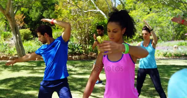 Groupe Personnes Faisant Exercice Dans Parc Par Une Journée Ensoleillée — Video