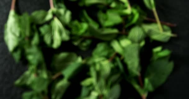 검은 바탕에 민트 잎 — 비디오