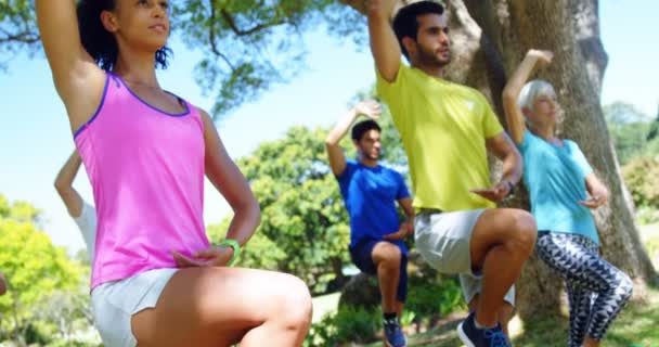 Grupo Personas Haciendo Ejercicio Parque Día Soleado — Vídeos de Stock