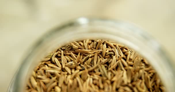 Close-up of cumin in jar — Stock Video