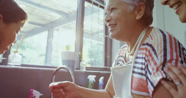 Abuela y nieta lavando platos — Vídeo de stock