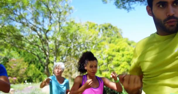 Group People Exercising Park Sunny Day — Stock Video