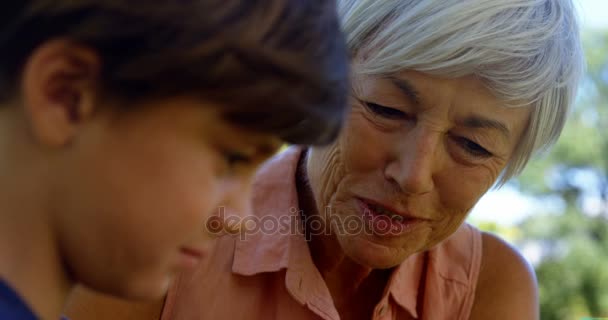 Nahaufnahme Der Großmutter Gespräch Mit Dem Enkel Park — Stockvideo