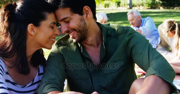 Couple Romantique Assis Dans Parc Avec Famille Arrière Plan — Video