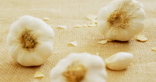 Hele garlics op textiel — Stockvideo