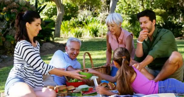 Family having meal in park — Stock Video