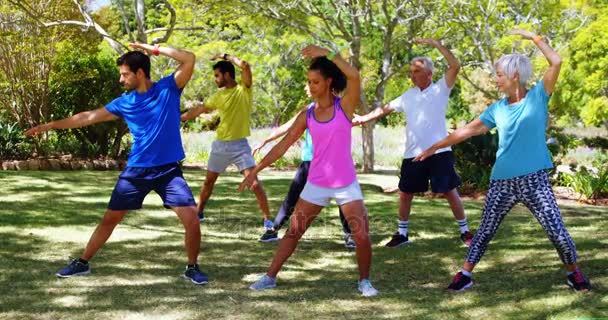 Grupo Personas Haciendo Ejercicio Parque Día Soleado — Vídeo de stock