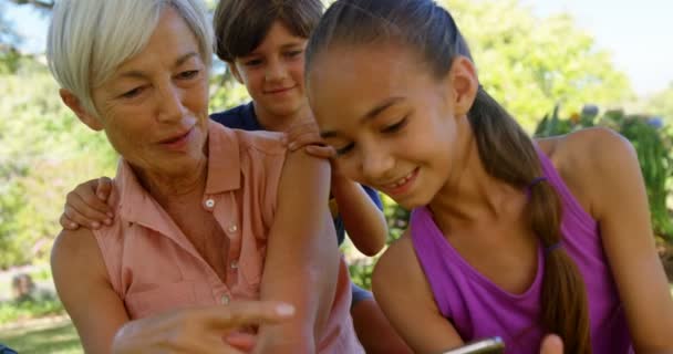 Sorrindo Avó Netos Usando Telefone Celular Parque — Vídeo de Stock