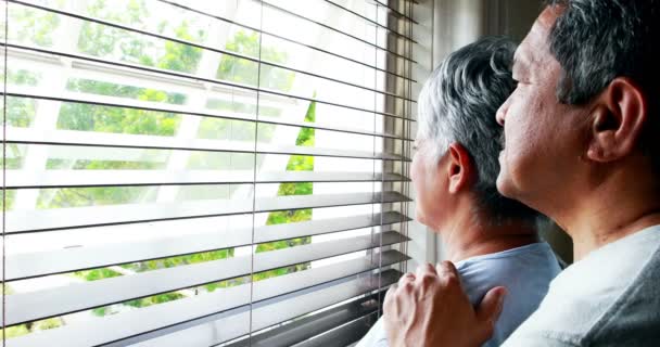 Pareja mirando por la ventana — Vídeo de stock