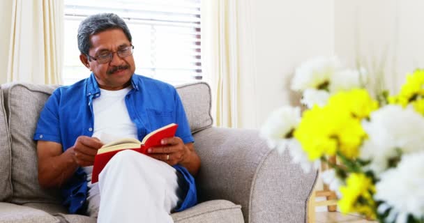 Man reading a novel — Stock Video