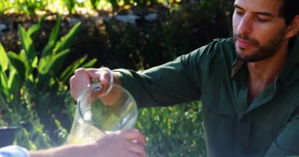 Son serving juice to his father — Stock Video