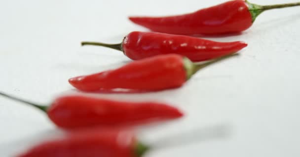 Chili paprika på vit bakgrund — Stockvideo