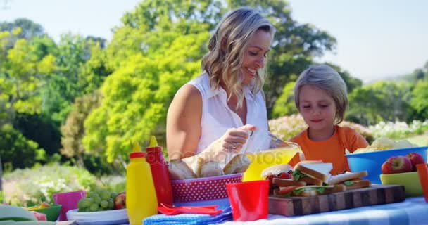 Feliz Madre Verter Jugo Naranja Hijo Parque Día Soleado — Vídeos de Stock