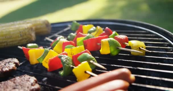 Viande grillée sur barbecue — Video