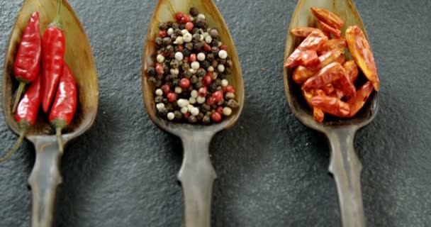 Various spices in spoons — Stock Video