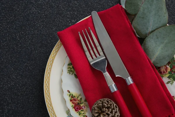 Cono de pino con tenedor en un plato — Foto de Stock