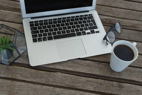 Kaffee- und Topfpflanze auf Holzplanke — Stockfoto