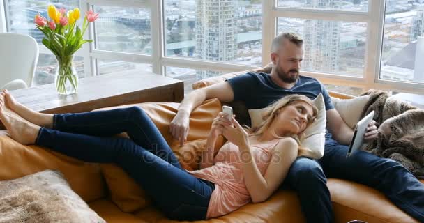 Пара використовує цифровий планшет — стокове відео