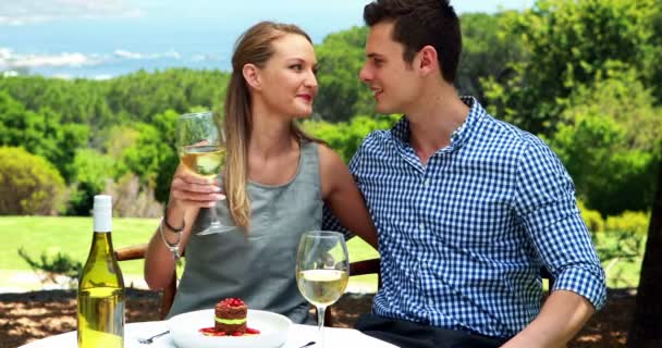 Couple toasting glasses of wine — Stock Video