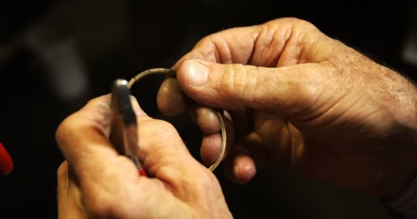 Orfèvre fabrication de bijoux — Video