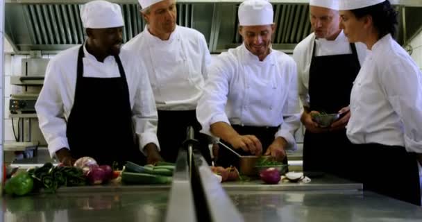 Team of chef tasting food — Stock Video