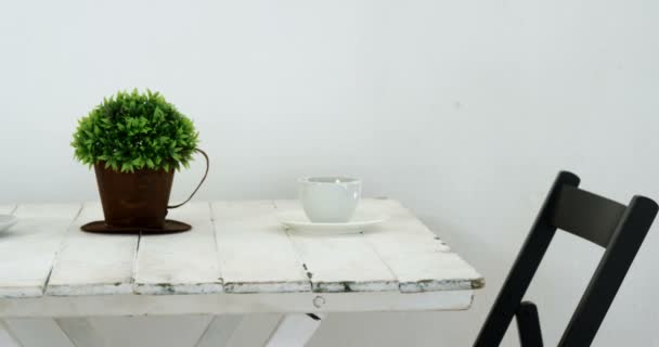 Tasses et plante en pot sur la table — Video