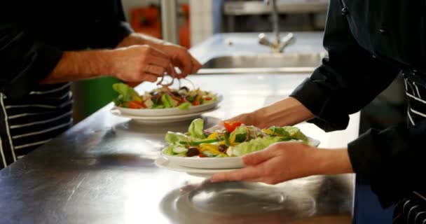 Chef offrant une assiette de salade — Video