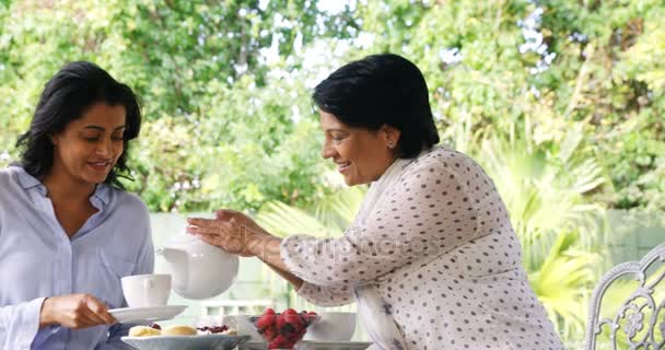Мать и дочь пьют чай — стоковое видео