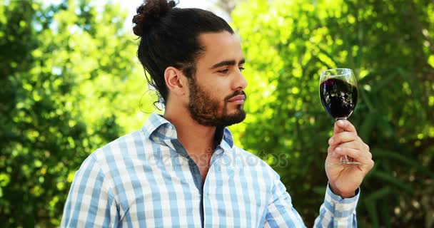 Man looking at wine glass — Stock Video