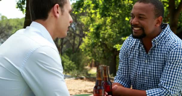 Amigos homens brindar garrafas de cerveja — Vídeo de Stock