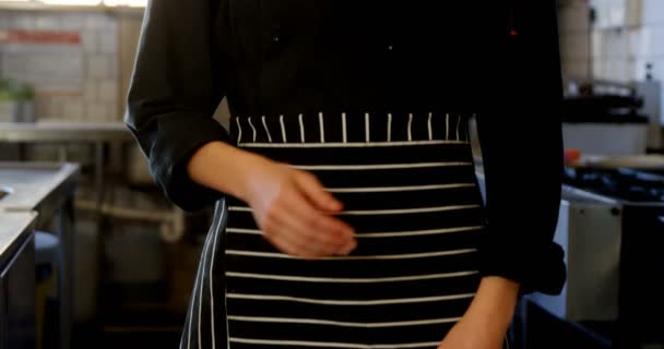 Chef debout dans la cuisine — Video