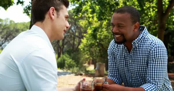 Mutlu Erkek Arkadaşlar Açık Restoranda Bira Bardağı Kızartma — Stok video