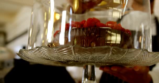 Κοντινό Πλάνο Του Σερβιτόρου Κρατώντας Κέικ Στο Καφέ — Αρχείο Βίντεο