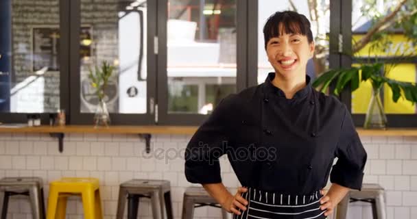 Retrato Hermosa Camarera Pie Con Las Manos Cadera Cafetería — Vídeos de Stock