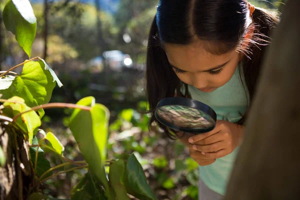 Flicka att utforska naturen genom förstoringsglas — Stockfoto