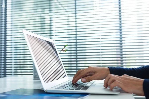 Жіночий керівник використовує ноутбук за столом — стокове фото