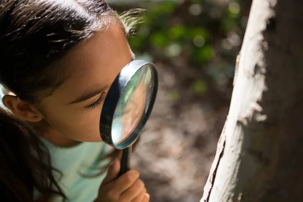 Menina explorando a natureza através de lupa — Fotografia de Stock