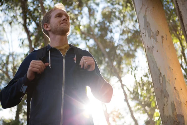 Hombre con una mochila caminando en el bosque —  Fotos de Stock