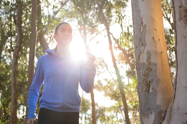Kobieta jogging w lesie — Zdjęcie stockowe
