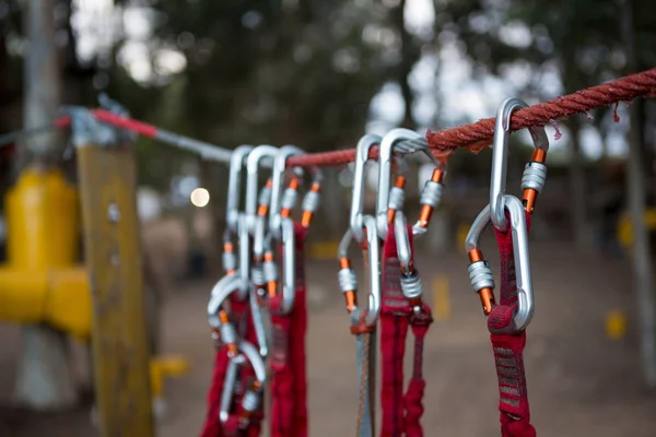 Harnesses hanging on rope in the forest — Stock Photo, Image