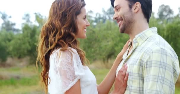 Šťastný Pár Objímat Olivové Farmy — Stock video