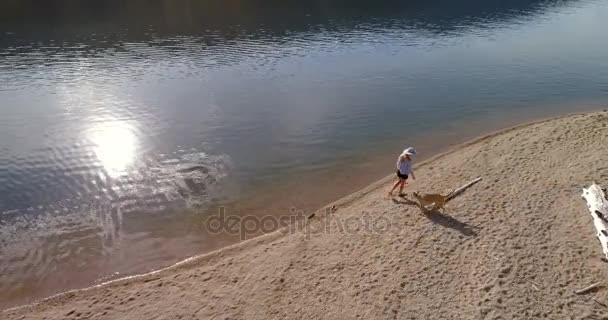 Аерофотозйомка Жінки Своєю Собакою Собакою Йде Біля Берега Річки Сонячний — стокове відео