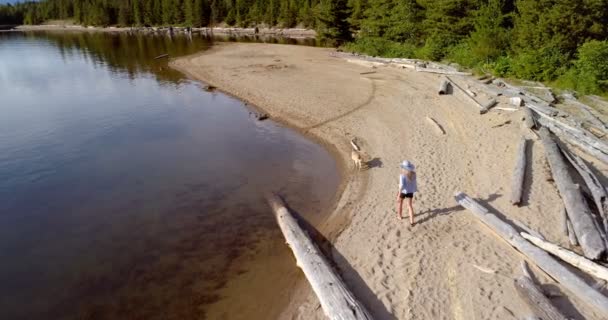 Luftaufnahme Einer Frau Mit Ihrem Hund Die Einem Sonnigen Tag — Stockvideo